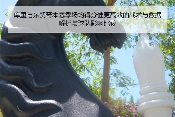 库里与东契奇本赛季场均得分谁更高效的战术与数据解析与球队影响比较