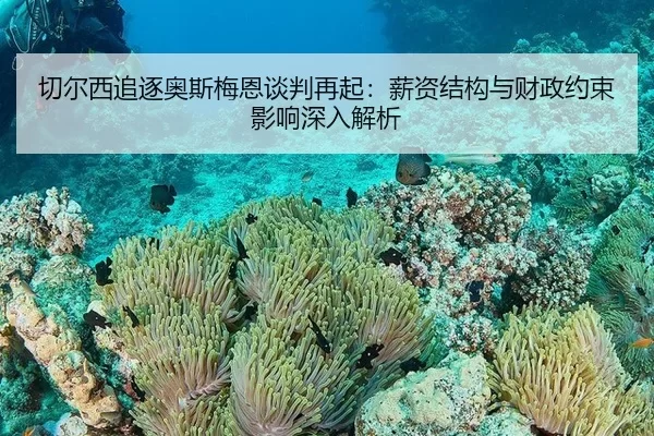 切尔西追逐奥斯梅恩谈判再起：薪资结构与财政约束影响深入解析