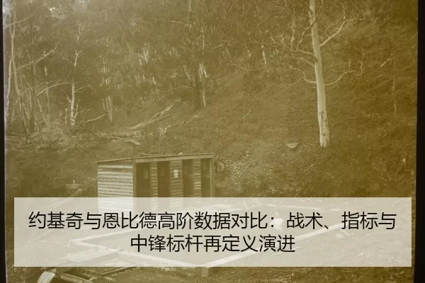 约基奇与恩比德高阶数据对比：战术、指标与中锋标杆再定义演进
