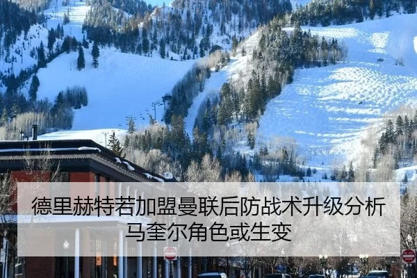 de-li-he-te-ruo-jia-meng-man-lian-hou-fang-zhan-shu-sheng-ji-fen-xi-ma-kui-er-jue-se-huo-sheng-bian-2-419.jpg