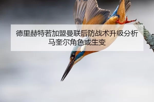 德里赫特若加盟曼联后防战术升级分析 马奎尔角色或生变