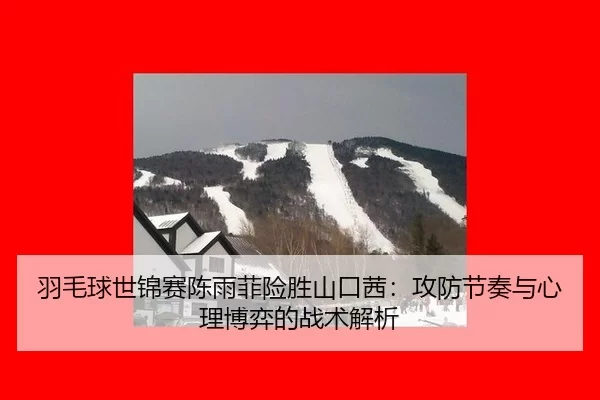 yu-mao-qiu-shi-jin-sai-chen-yu-fei-xian-sheng-shan-kou-qian-gong-fang-jie-zou-yu-xin-li-bo-yi-de-zhan-shu-jie-xi-3-924.jpg